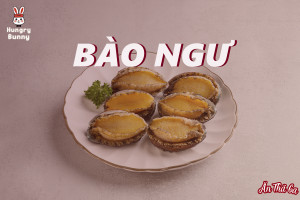 Bao ngu 1900px cov